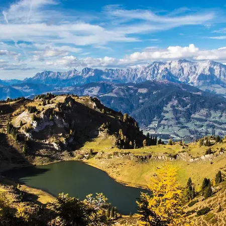 Domek alpejski Gams *